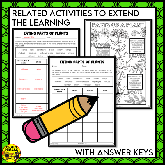 Parts of Plants Collaborative Poster Colouring Activity Living Systems | Paper