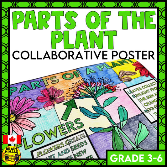 Parts of Plants Collaborative Poster Colouring Activity Living Systems | Paper