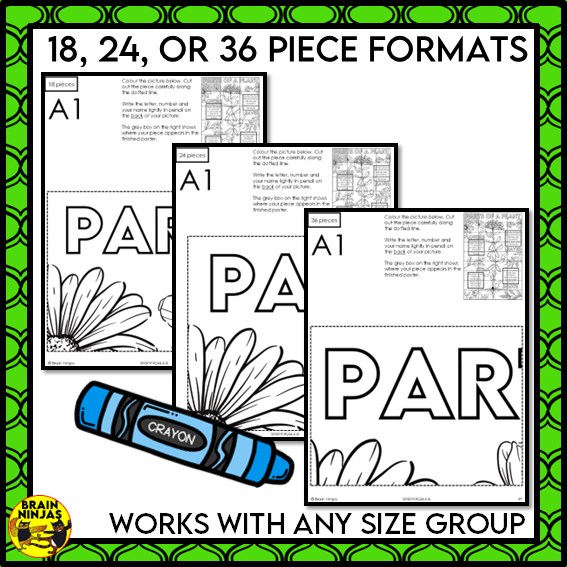 Parts of Plants Collaborative Poster Colouring Activity Living Systems | Paper