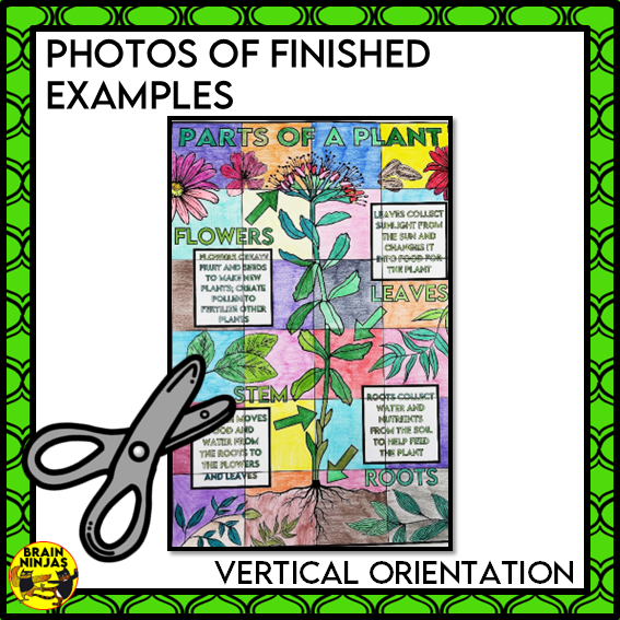 Parts of Plants Collaborative Poster Colouring Activity Living Systems | Paper