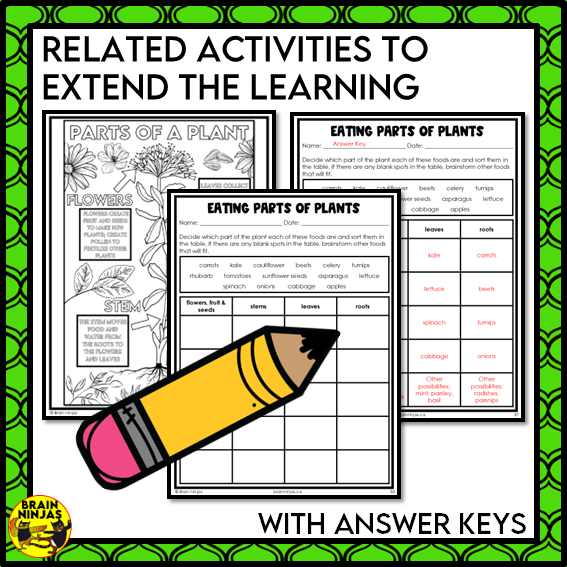 Parts of Plants Collaborative Poster Colouring Activity Living Systems | Paper