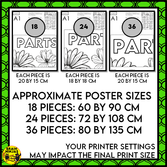 Parts of Plants Collaborative Poster Colouring Activity Living Systems | Paper