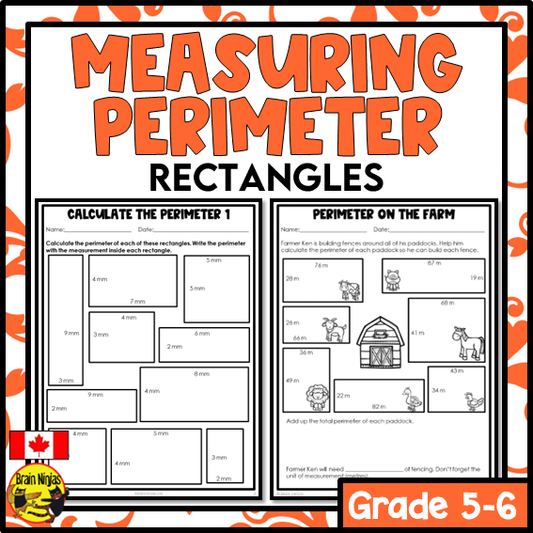 Perimeter of Rectangles Math Worksheets | Paper | Metric Units