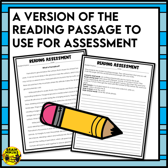 Permafrost Reading Comprehension Activities | Paper and Digital