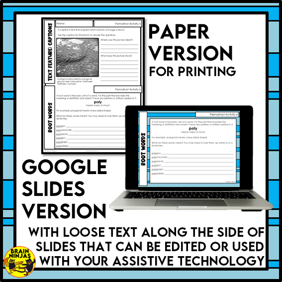 Permafrost Reading Comprehension Activities | Paper and Digital