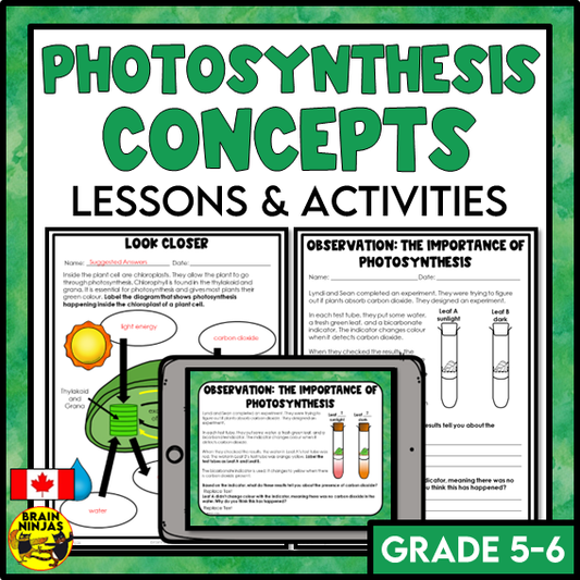 Photosynthesis and Its Importance Lessons and Activities | Paper and Digital