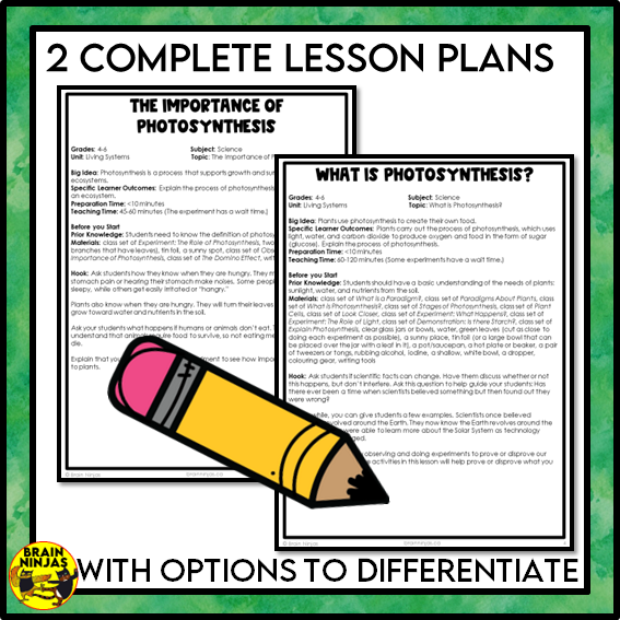 Photosynthesis and Its Importance Lessons and Activities | Paper and Digital