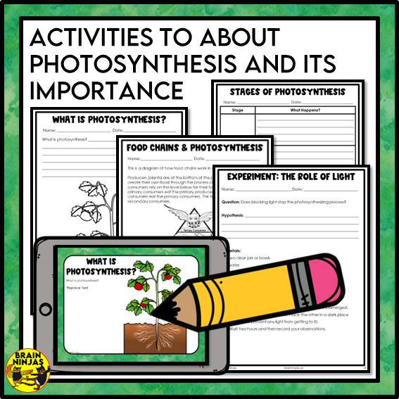 Photosynthesis and Its Importance Lessons and Activities | Paper and Digital