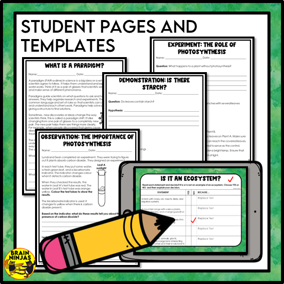 Photosynthesis and Its Importance Lessons and Activities | Paper and Digital