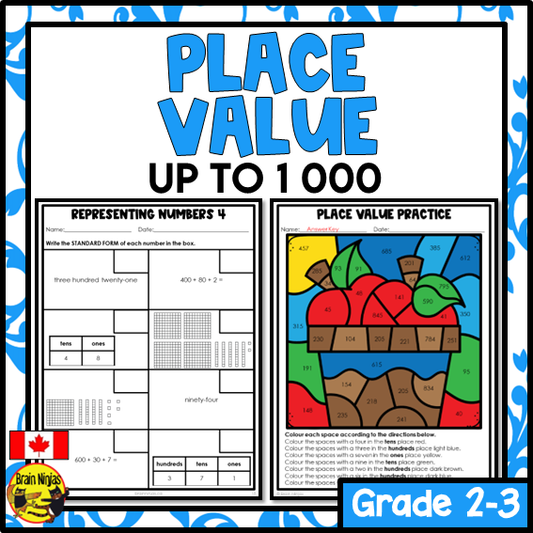Place Value to 1000 Math Worksheets | Paper