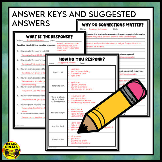 Plant and Animal Survival Lessons and Activities | Paper and Digital