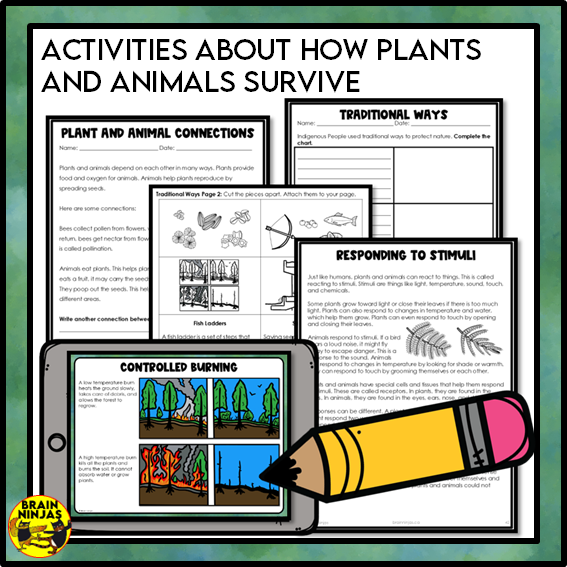 Plant and Animal Survival Lessons and Activities | Paper and Digital
