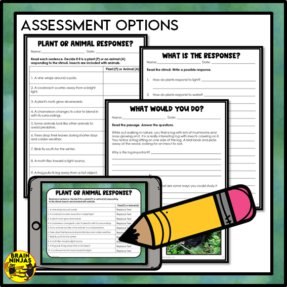 Plant and Animal Survival Lessons and Activities | Paper and Digital