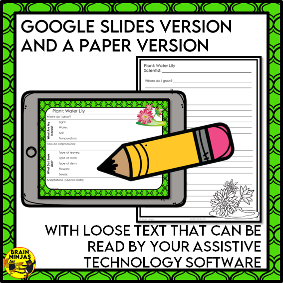 Plant Classification Lesson and Activities | Paper and Digital