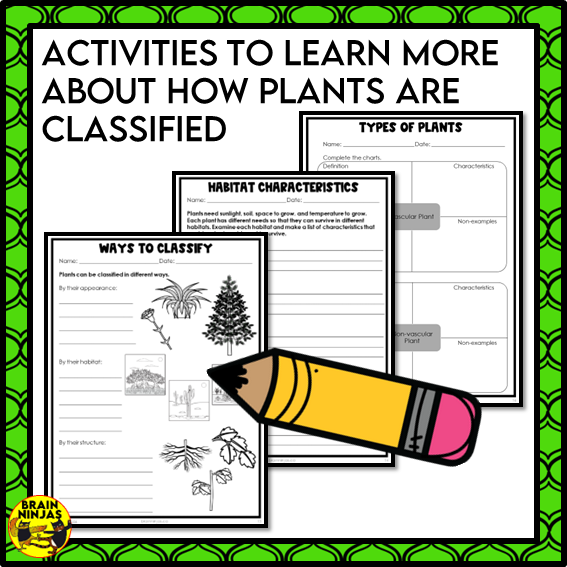 Plant Classification Lesson and Activities | Paper and Digital