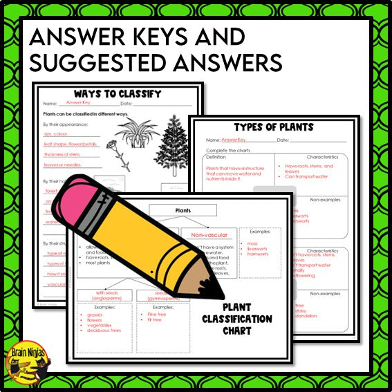 Plant Classification Lesson and Activities | Paper and Digital