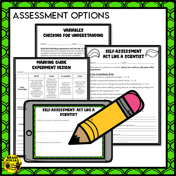 Plant Experiments About the Needs of Plants | Paper and Digital