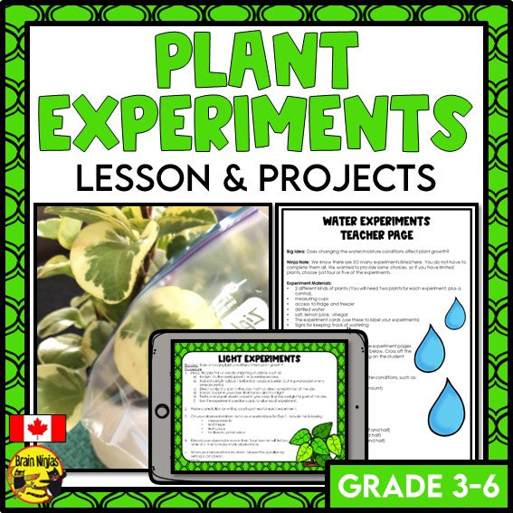 Plant Experiments About the Needs of Plants | Paper and Digital
