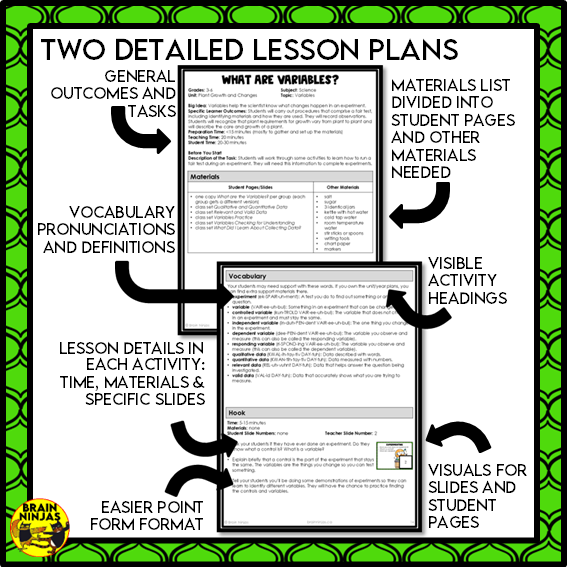 Plant Experiments About the Needs of Plants | Paper and Digital