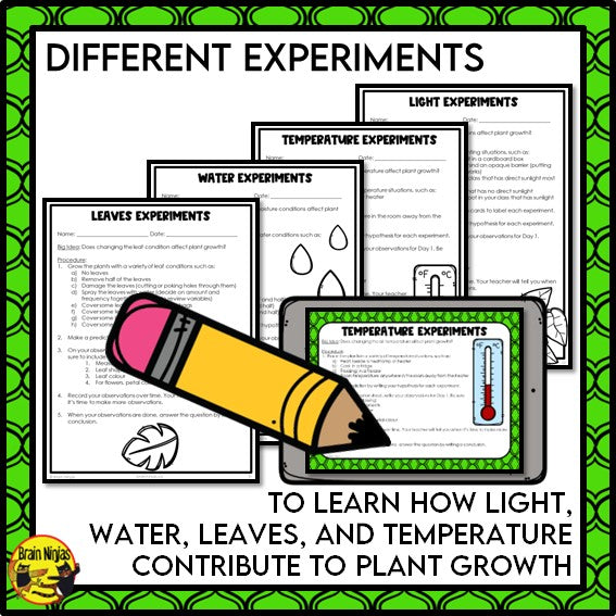 Plant Experiments About the Needs of Plants | Paper and Digital