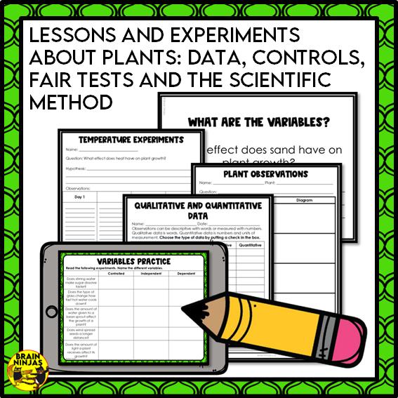 Plant Experiments About the Needs of Plants | Paper and Digital