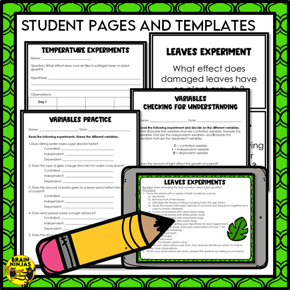 Plant Experiments About the Needs of Plants | Paper and Digital