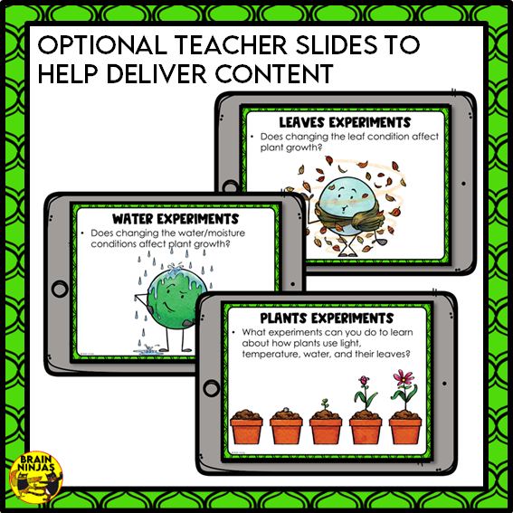 Plant Experiments About the Needs of Plants | Paper and Digital