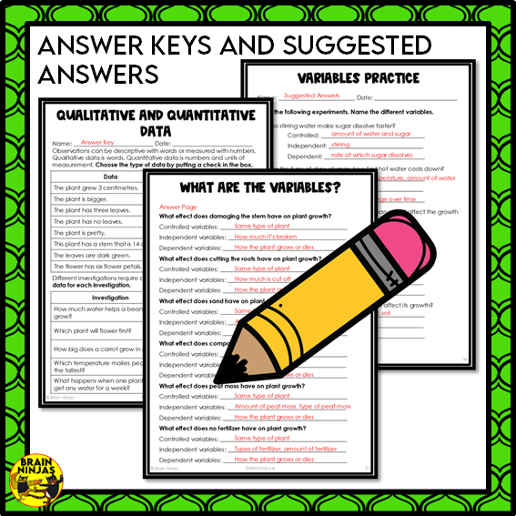 Plant Experiments About the Needs of Plants | Paper and Digital