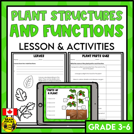 Plant Structures and Functions Lesson and Activities | Digital and Paper