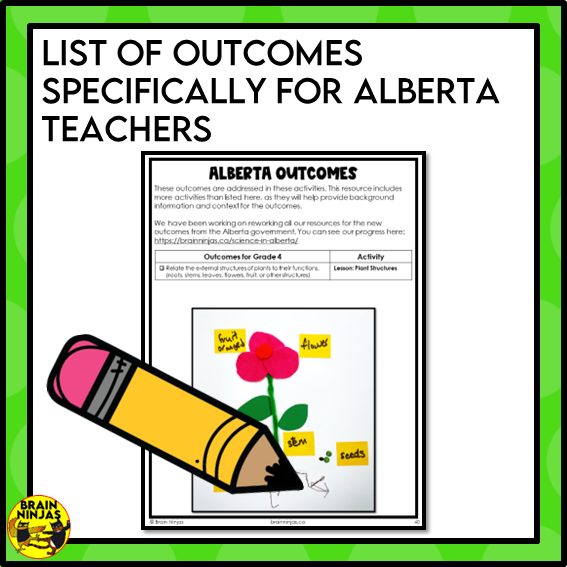 Plant Structures and Functions Lesson and Activities | Digital and Paper