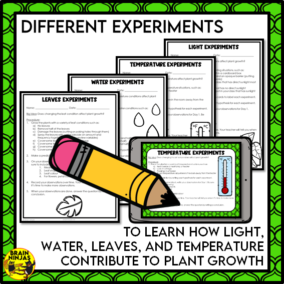 Plant Experiments About the Needs of Plants | Paper and Digital