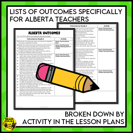 Plant Structures and Functions Lesson and Activities | Digital and Paper