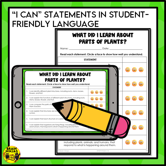 Plant Structures and Functions Lesson and Activities | Digital and Paper