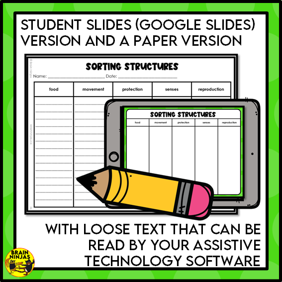 Plant Structures and Functions Lesson and Activities | Digital and Paper