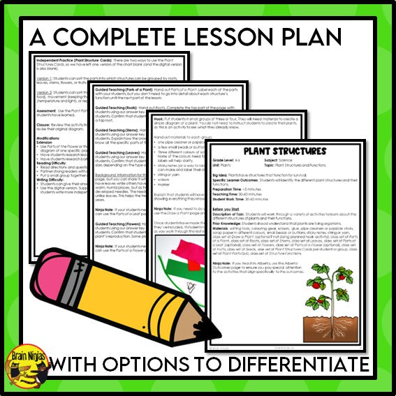 Plant Structures and Functions Lesson and Activities | Digital and Paper