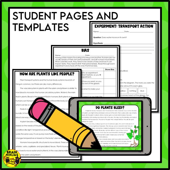 Plant Transport Systems Lesson and Activities | Xylem and Phloem | Digital and Paper