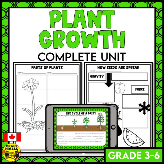 Plant Growth and Changes Unit | Paper and Digital