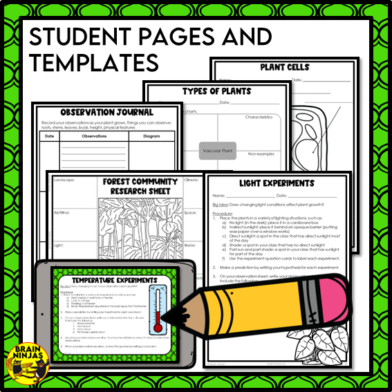 Plant Growth and Changes Unit | Paper and Digital