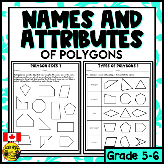 Names and Attributes of Polygons or 2D Shapes Math Worksheets | Paper