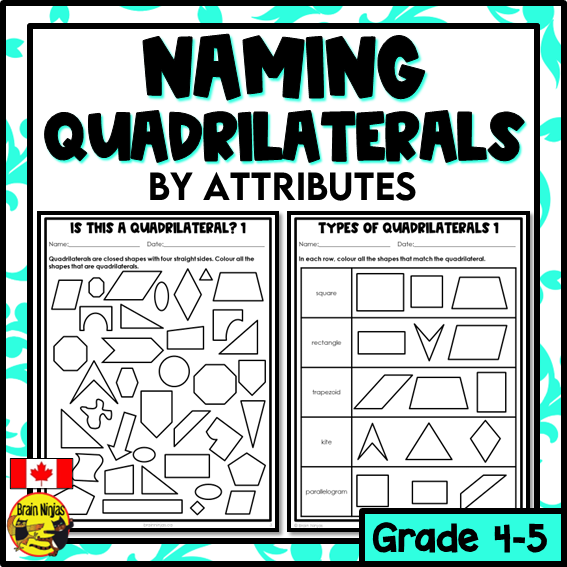 Naming Quadrilaterals Math Worksheets | Paper