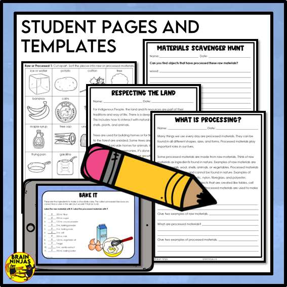 Raw and Processed Materials Lesson and Activities | Paper and Digital