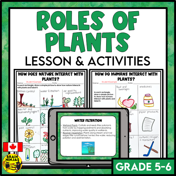 Roles of Plants Lesson and Activities | Paper and Digital