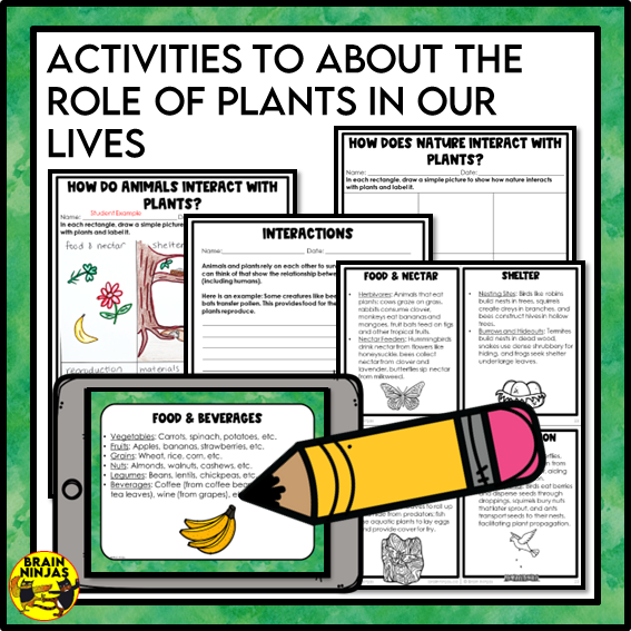 Roles of Plants Lesson and Activities | Paper and Digital