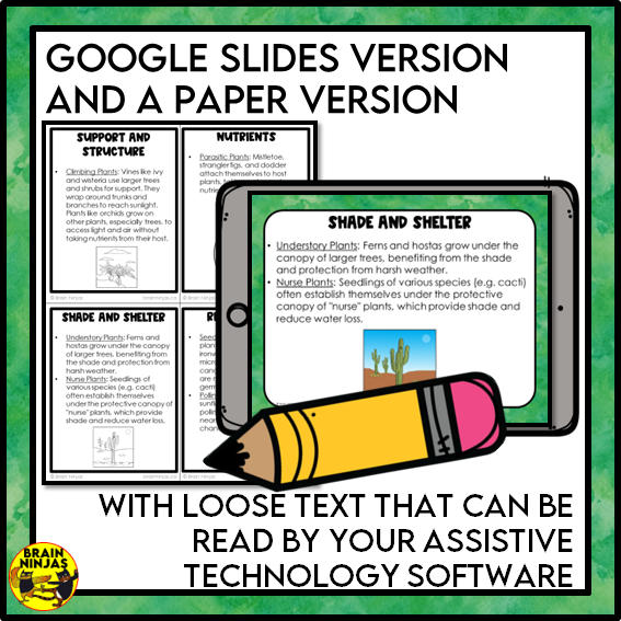 Roles of Plants Lesson and Activities | Paper and Digital