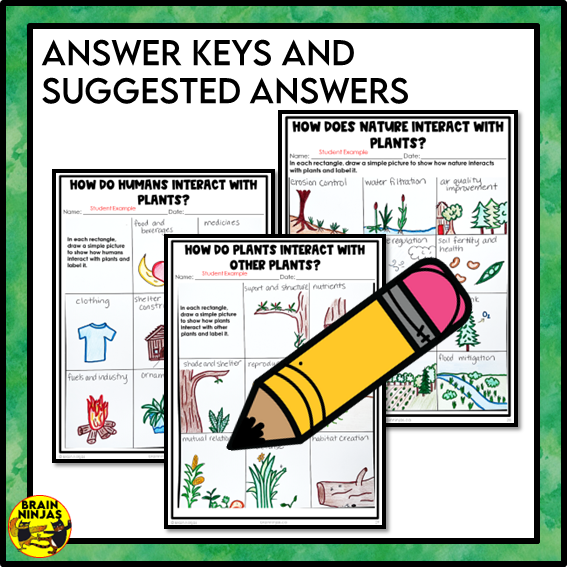 Roles of Plants Lesson and Activities | Paper and Digital