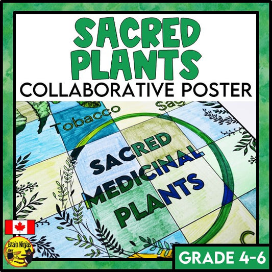 Sacred Plants Collaborative Poster Indigenous People in Canada | Paper