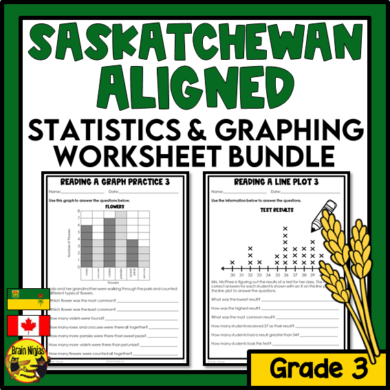 Saskatchewan Aligned Statistics and Graphing Math Worksheets Bundle | Paper | Grade 3