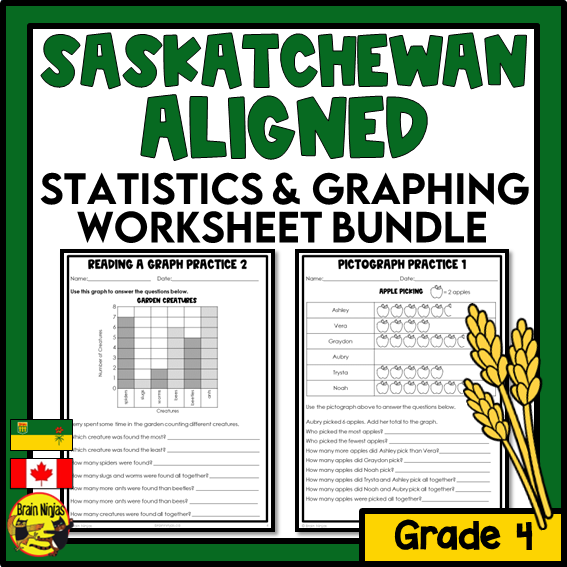 Saskatchewan Aligned Statistics and Graphing Math Worksheets Bundle | Paper | Grade 4
