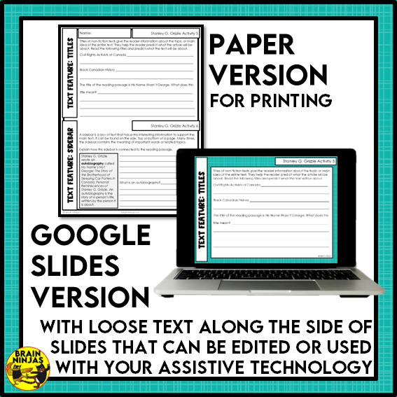 Stanley Grizzle Reading Comprehension Activities | Paper and Digital