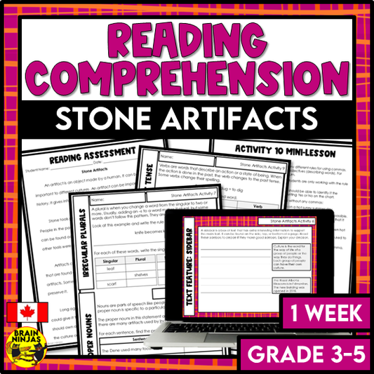 Stone Artifacts Reading Comprehension Activities | Paper and Digital